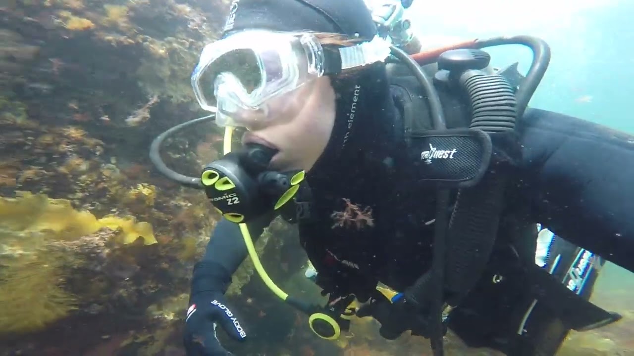Bass Rocks, Gloucester, MA Scuba Diving