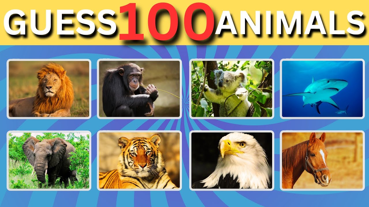 Guess 100 Animals: Fun Quiz for Kids | Kids FunTastic Learning Channel