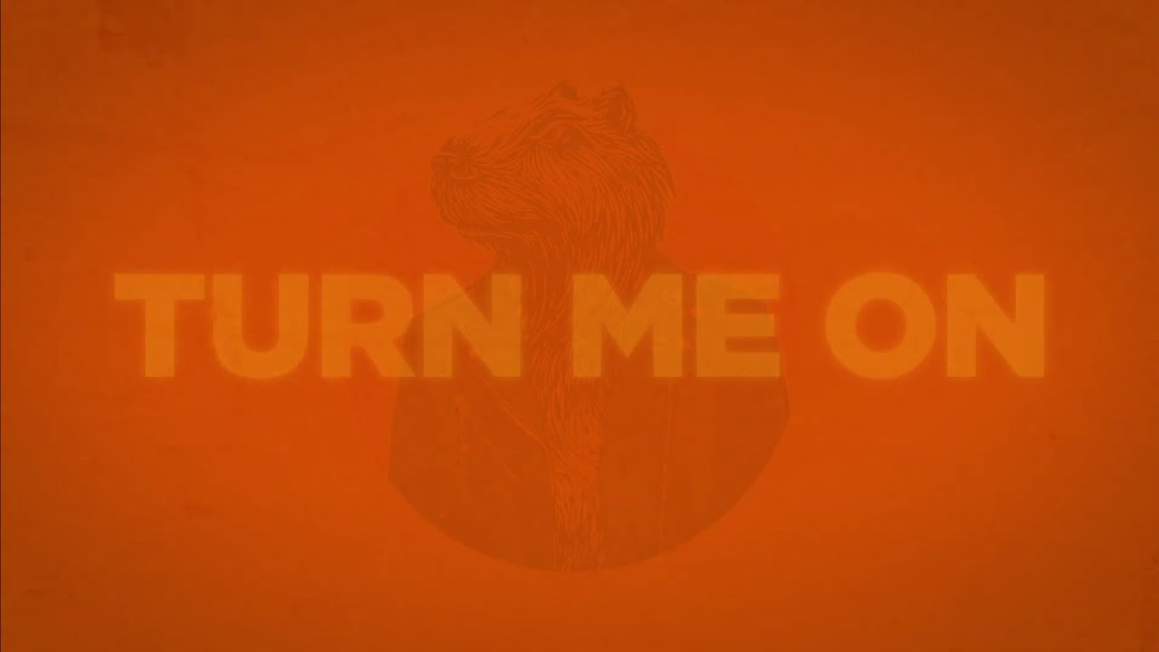 Capybara - Turn Me On (Official Lyric Video)