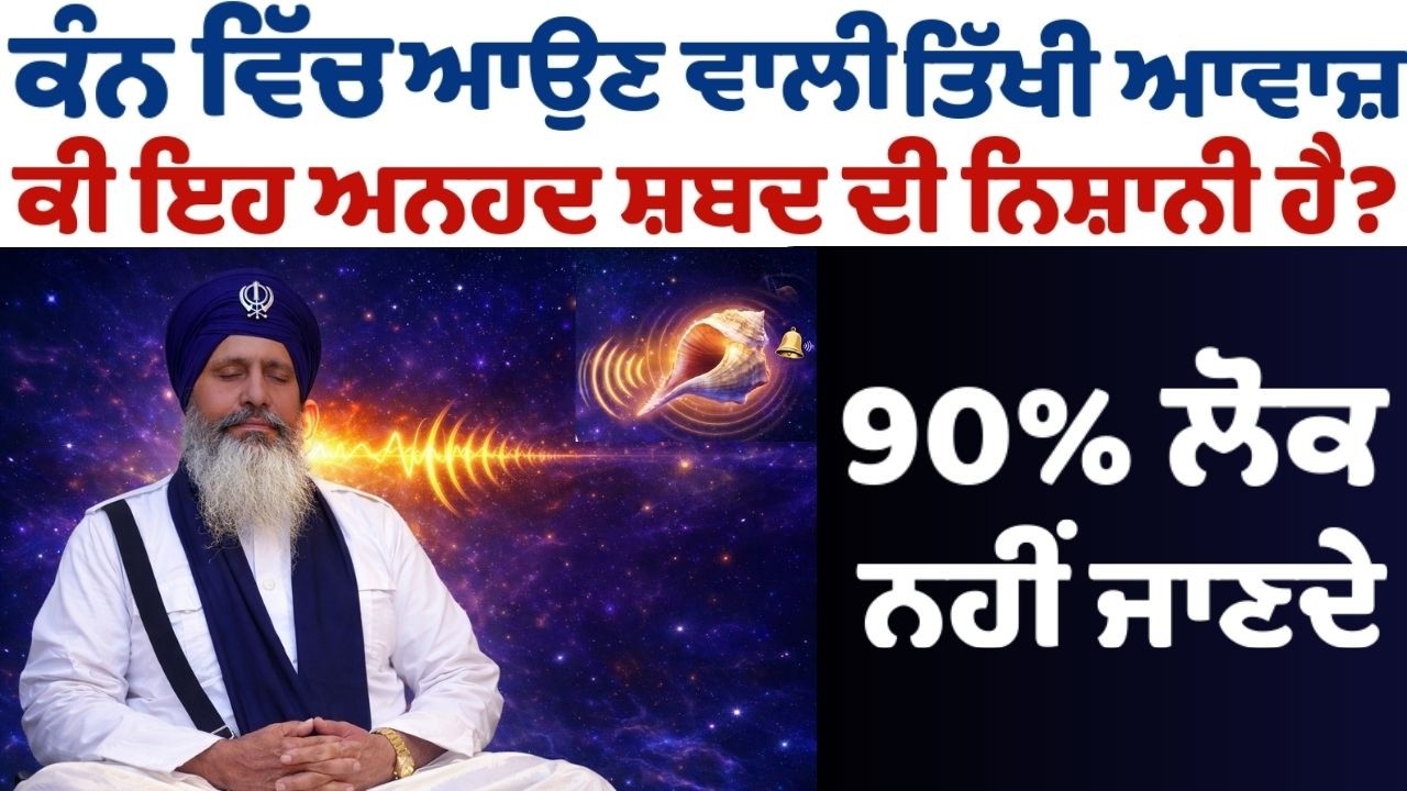 1 ਘੰਟੇ ਵਿੱਚ ਪ੍ਰਕਾਸ਼ ਦੇ ਦਰਸ਼ਨ — ਸੱਚੀ ਘਟਨਾ! ANHAD NAAD ਧੁਨੀਆਂ    ⁨@bhaiamriksinghjishadihari