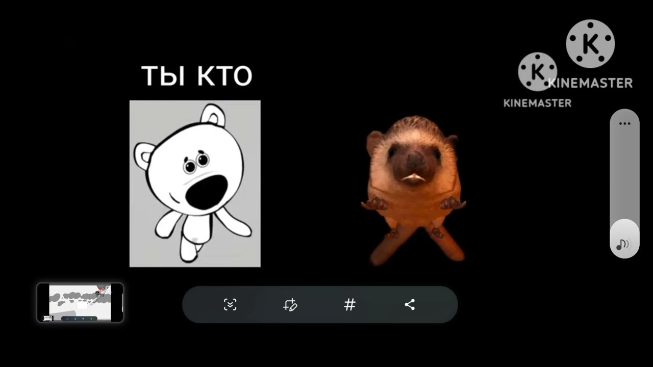 BN  BN  BEARS  DND  575438855