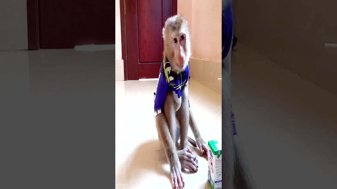 Mom change diaper for BBoo #18