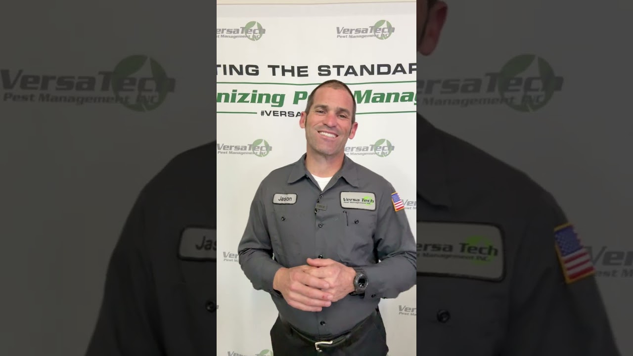 SoCal Bird Control & Prevention | What You Need To Know | Versa-Tech Pest Management
