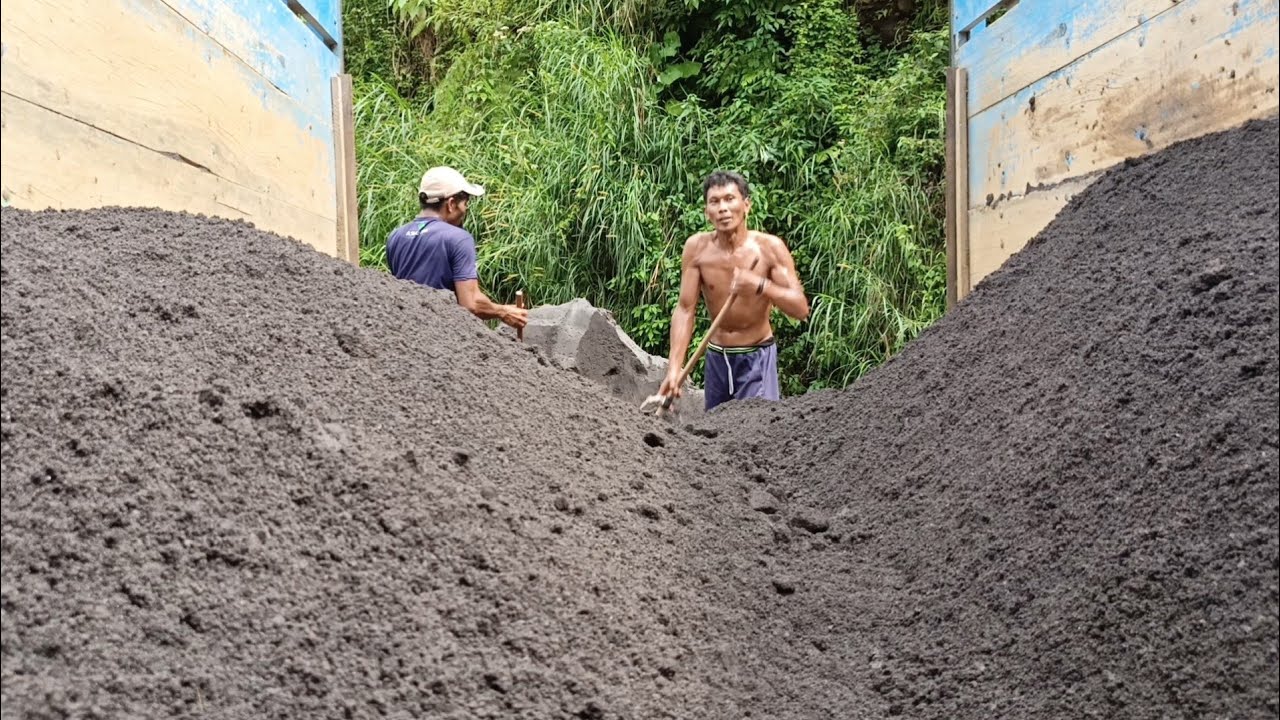 Piles of Black Sand Are Manually Loaded Into the Truck Bed