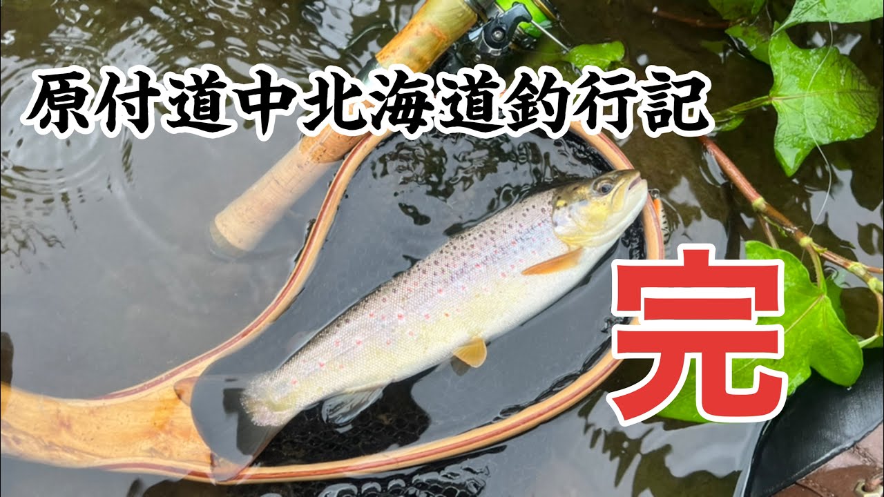 士幌あたりでニジマスと戯れる。ブラウントラウトを釣る。東京に帰る【原付道中北海道釣行記 Part11 完】