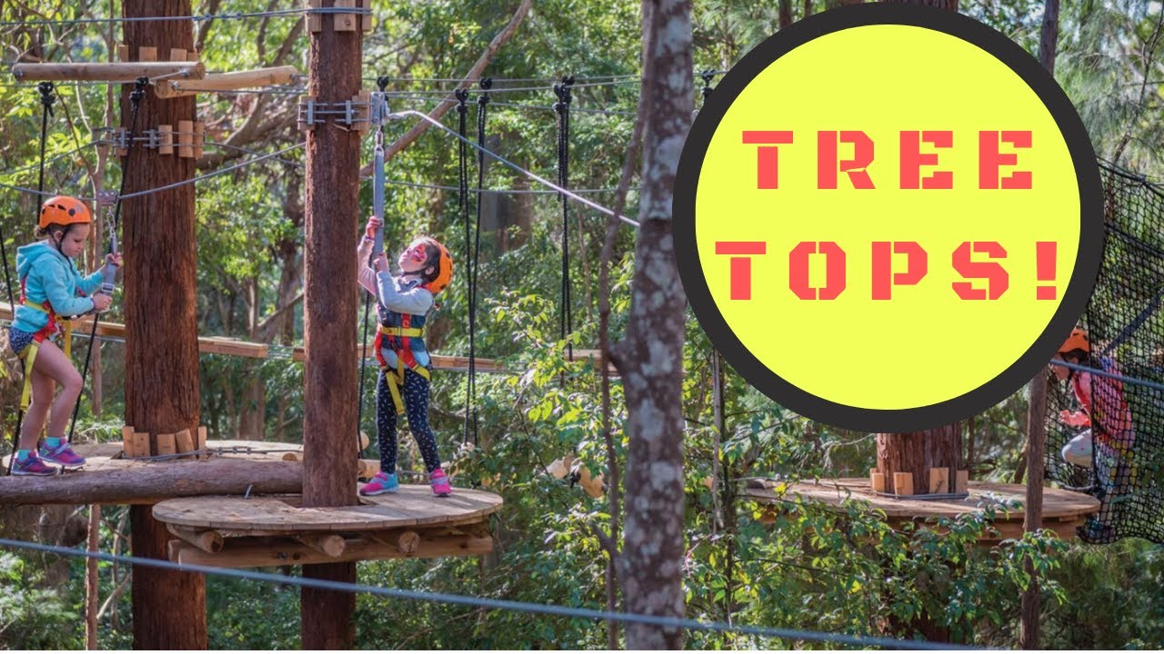 TreeTop Adventure Park Sydney
