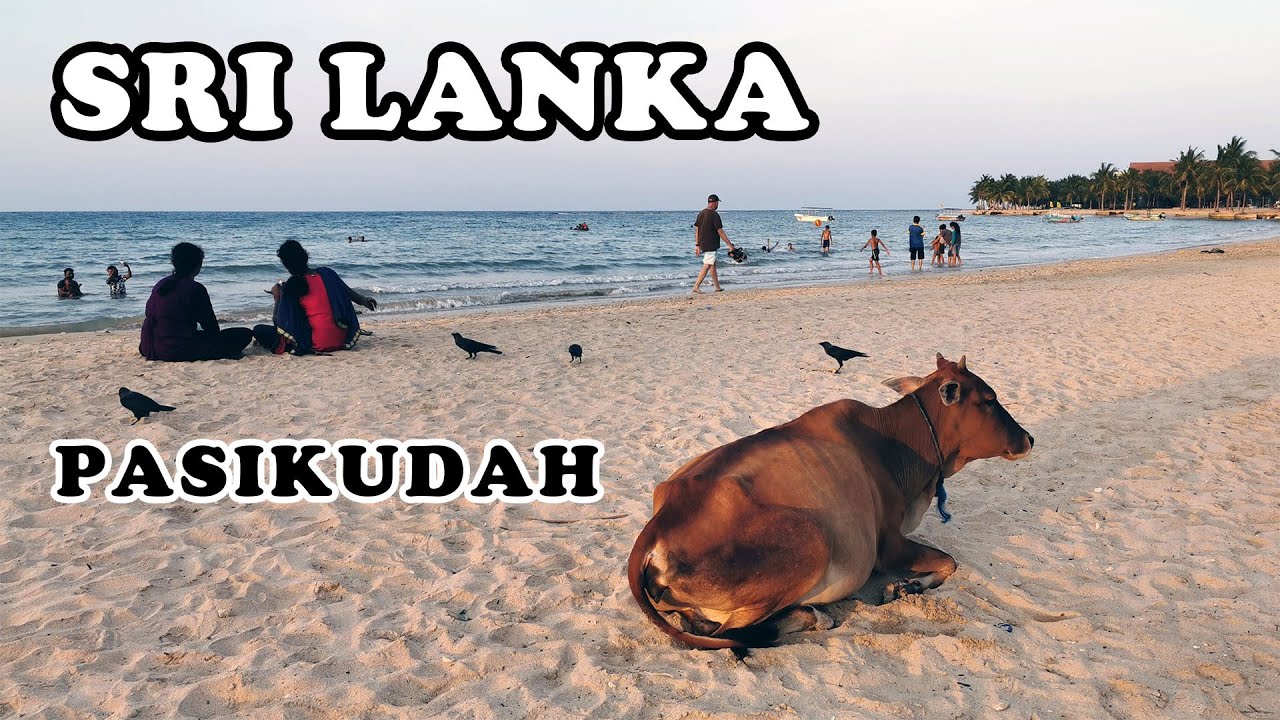 SRI LANKA : La plage de Pasikudah