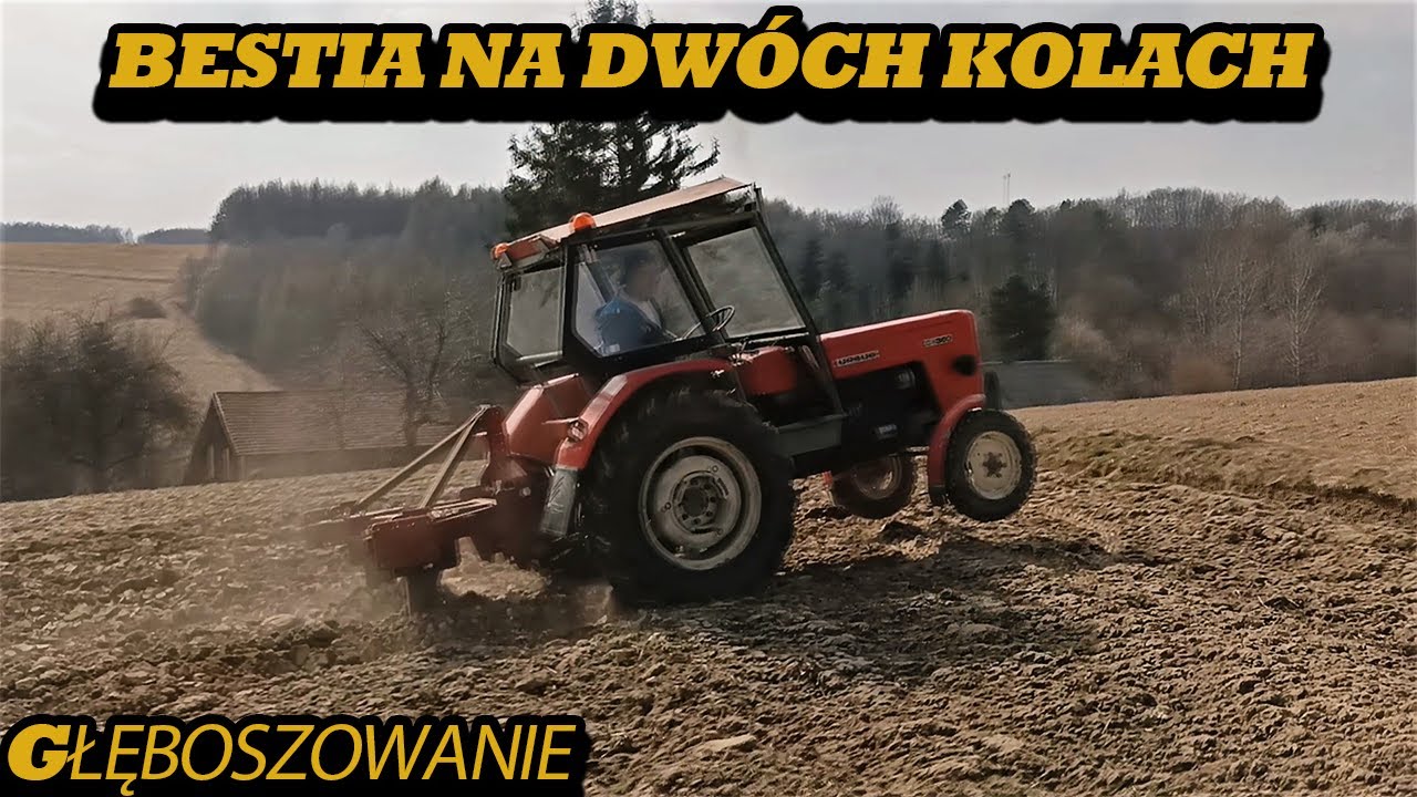 GŁĘBOSZOWANIE NA DWÓCH KOŁACH.... -URSUS C-360 VS GŁĘBOSZ PO RAMĘ-