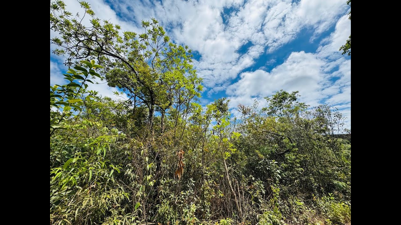 VENDE-SE FAZENDA EXCEPCIONAL em Morro Vermelho, Caeté/MG!