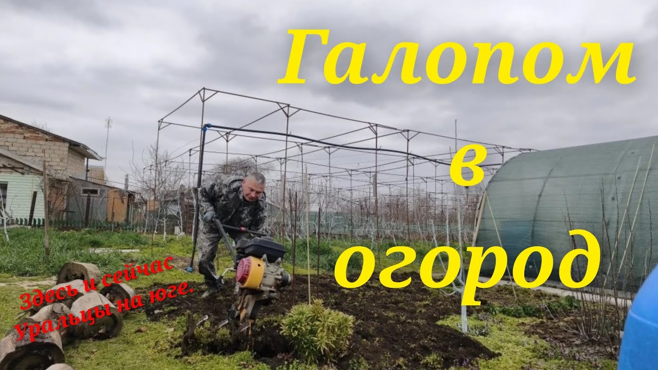 Заживём! Заслуженная свобода. Колхозники.