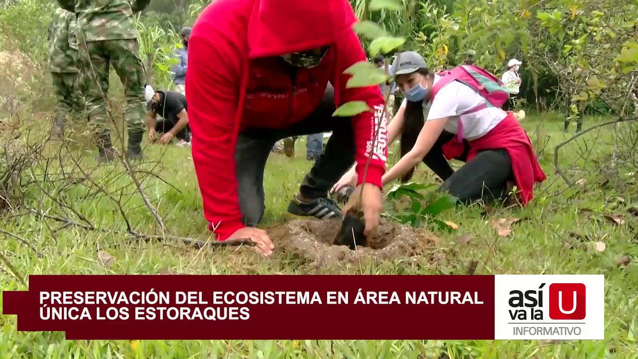 Nota informativa - Preservaci&oacute;n del ecosistema en &aacute;rea natural &uacute;nica los estoraques