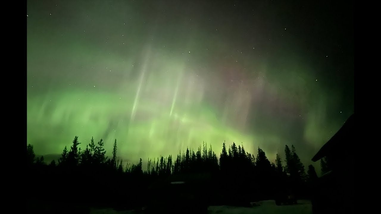 Lamb watch continues - northern lights keeping us alive !