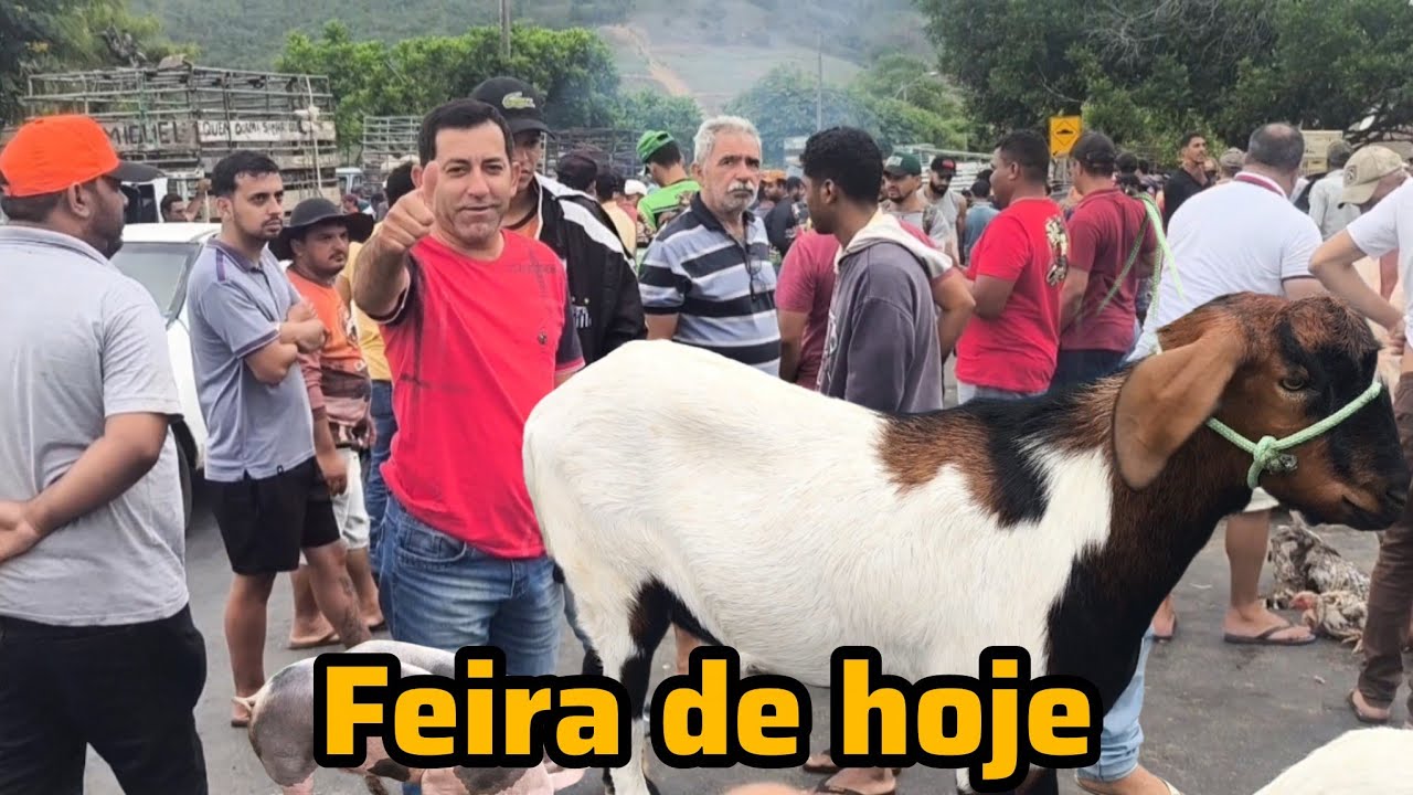 FEIRA DE ANIMAIS DE UMBUZEIRO PARAÍBA 14/03/2026 