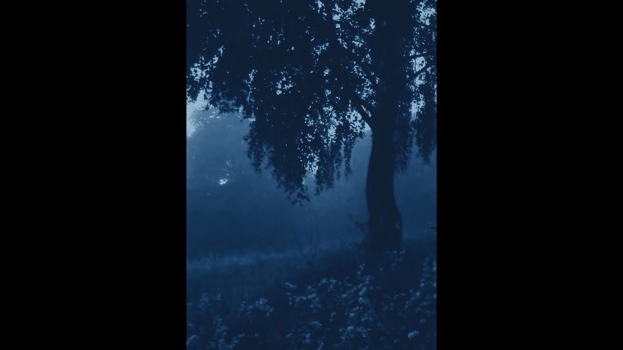 [FREE] untiljapan x Trompe L'oeil x Sample Type Beat 