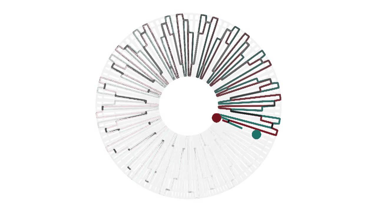 Piano Phase visualization