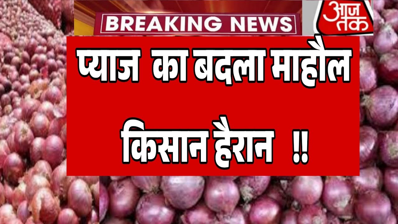 प्याज के भाव में बड़ा बदलाव /अचानक आई तेजी onion price today प्याज रेट onion rate