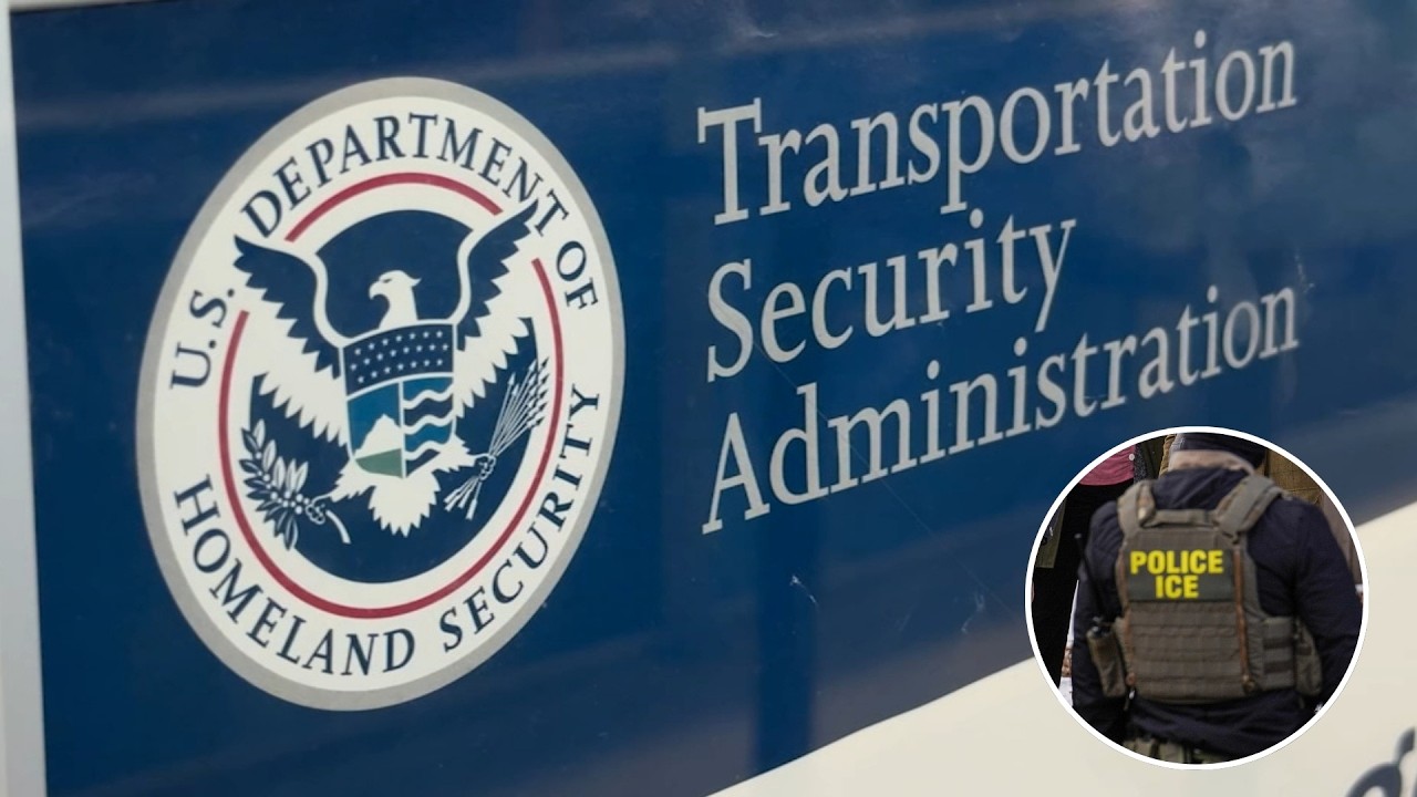 Возможное размещение сотрудников иммиграционной и таможенной службы США в аэропортах района залив...