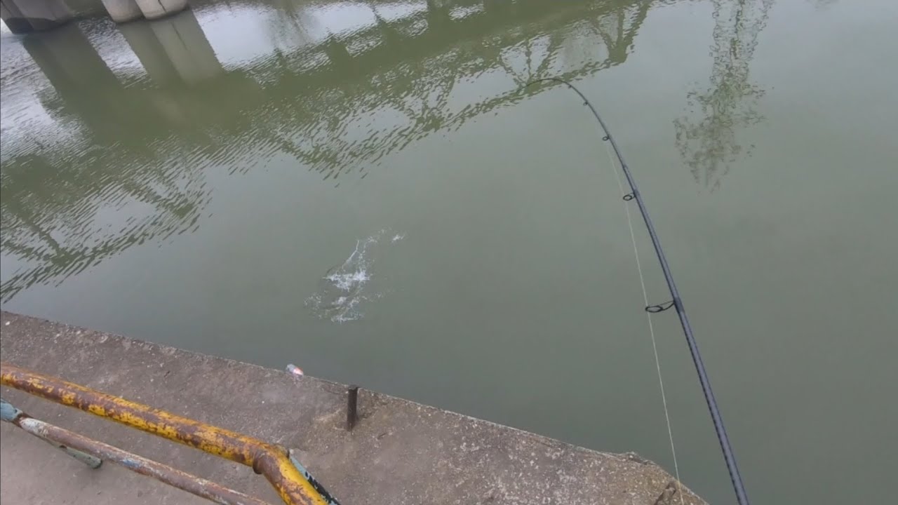 Pescuit la Salau cu surprize