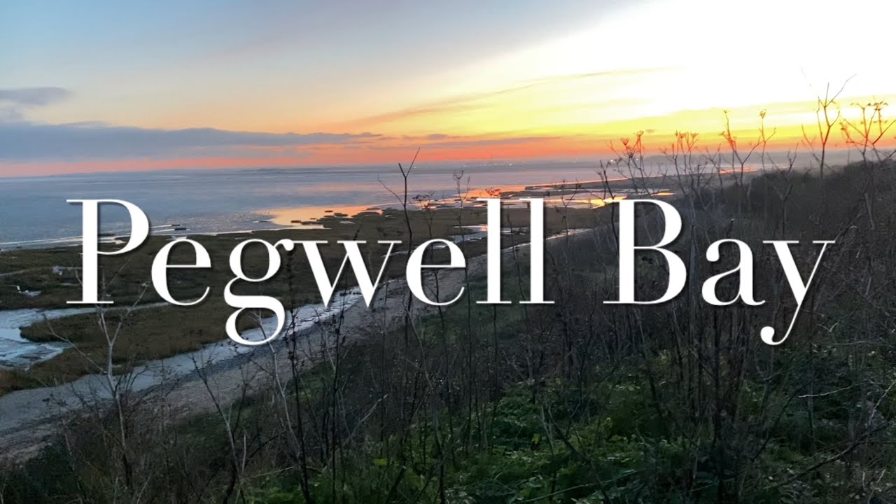 ASMR - Sunset at Pegwell Bay - Nature Sounds - Protected Birds - Birdsong at Dusk - Chalk Cliffs