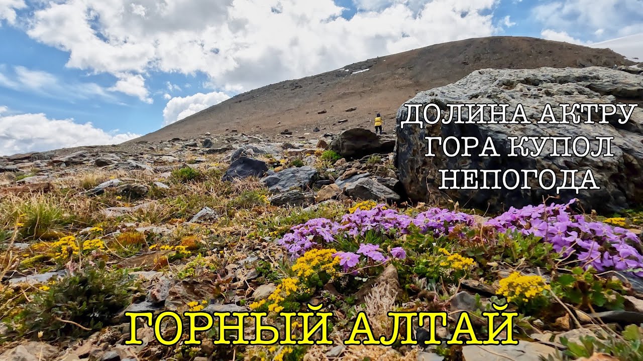 Алтай. Актру. Гора Купол трех озер (Июнь 2022 | Поход | 4К)