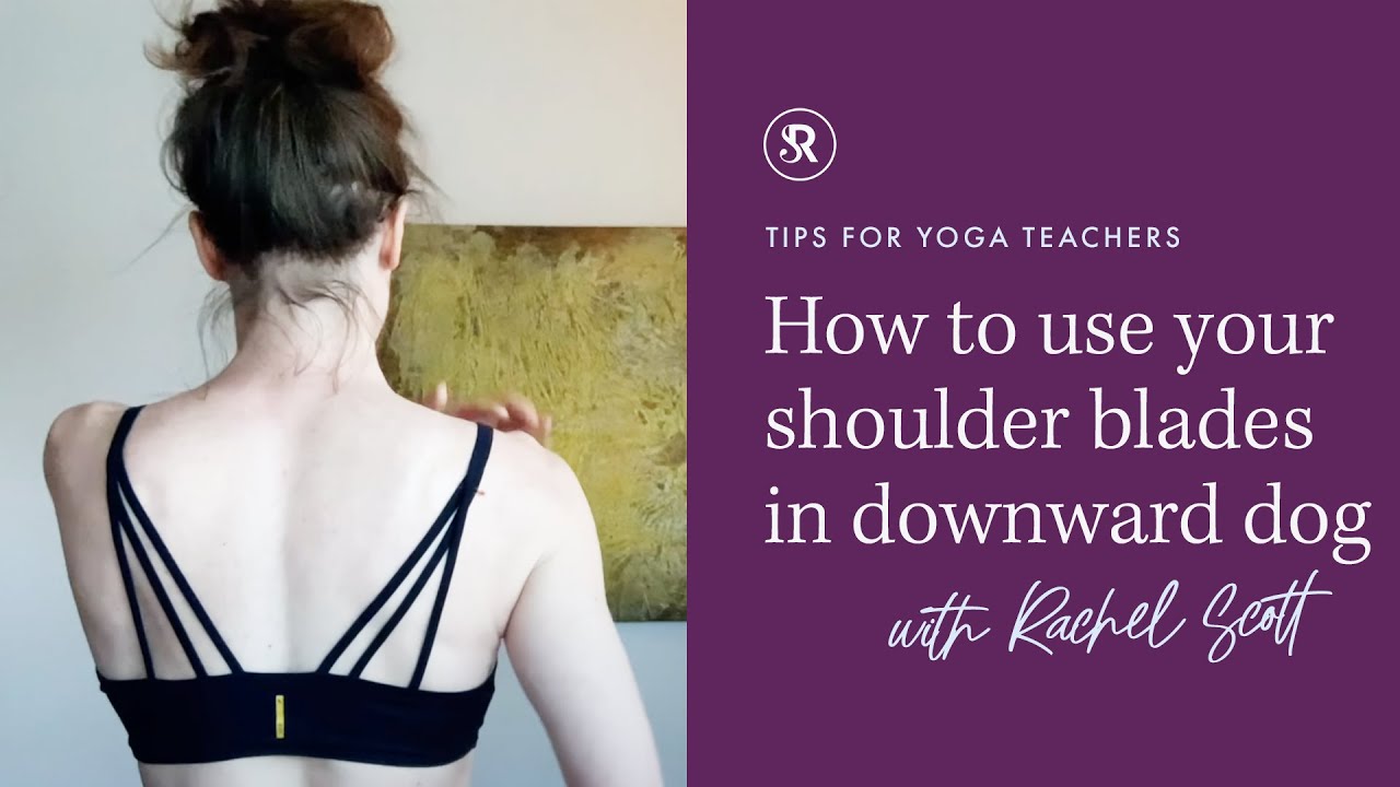 What To Do With Your Shoulder Blades in Downward Facing Dog: Yoga Teaching Tips with Rachel