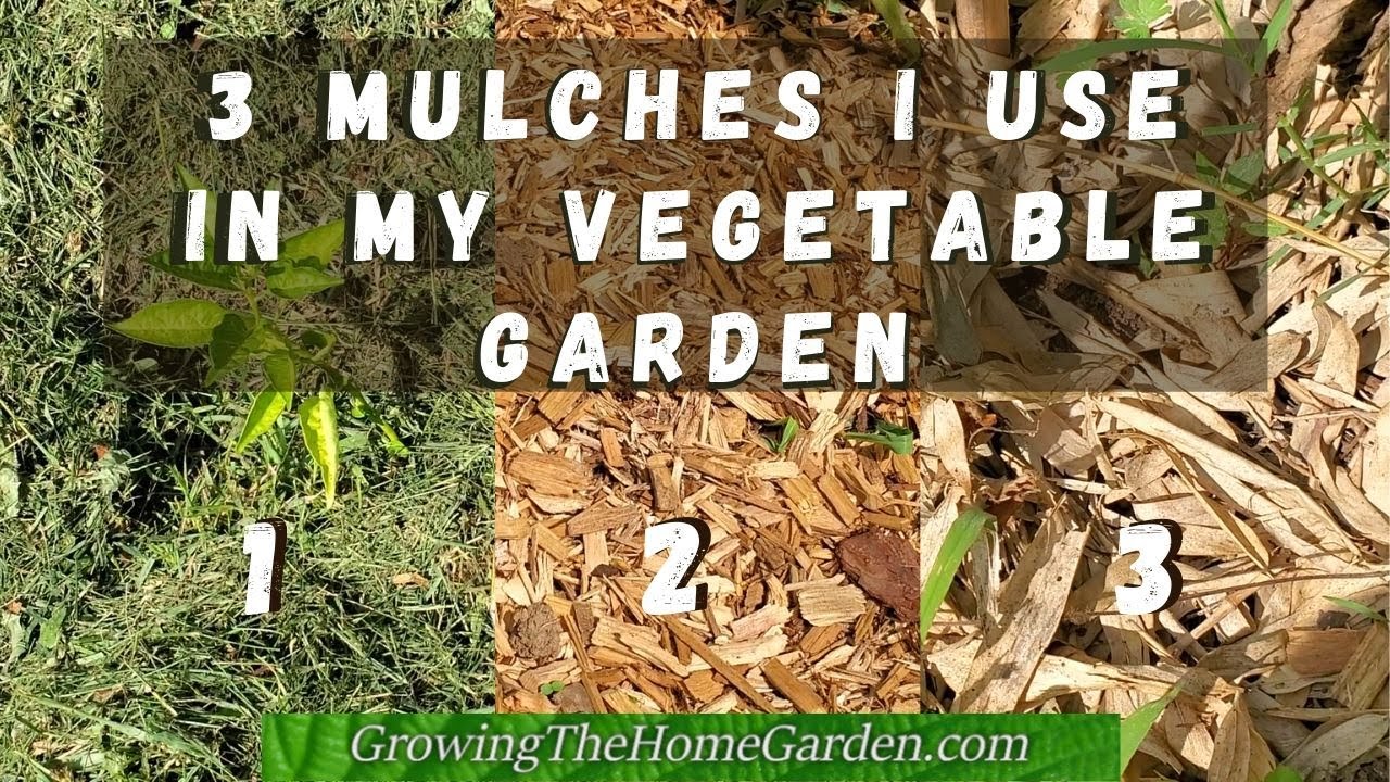 3 Mulches I Use for the Vegetable Garden