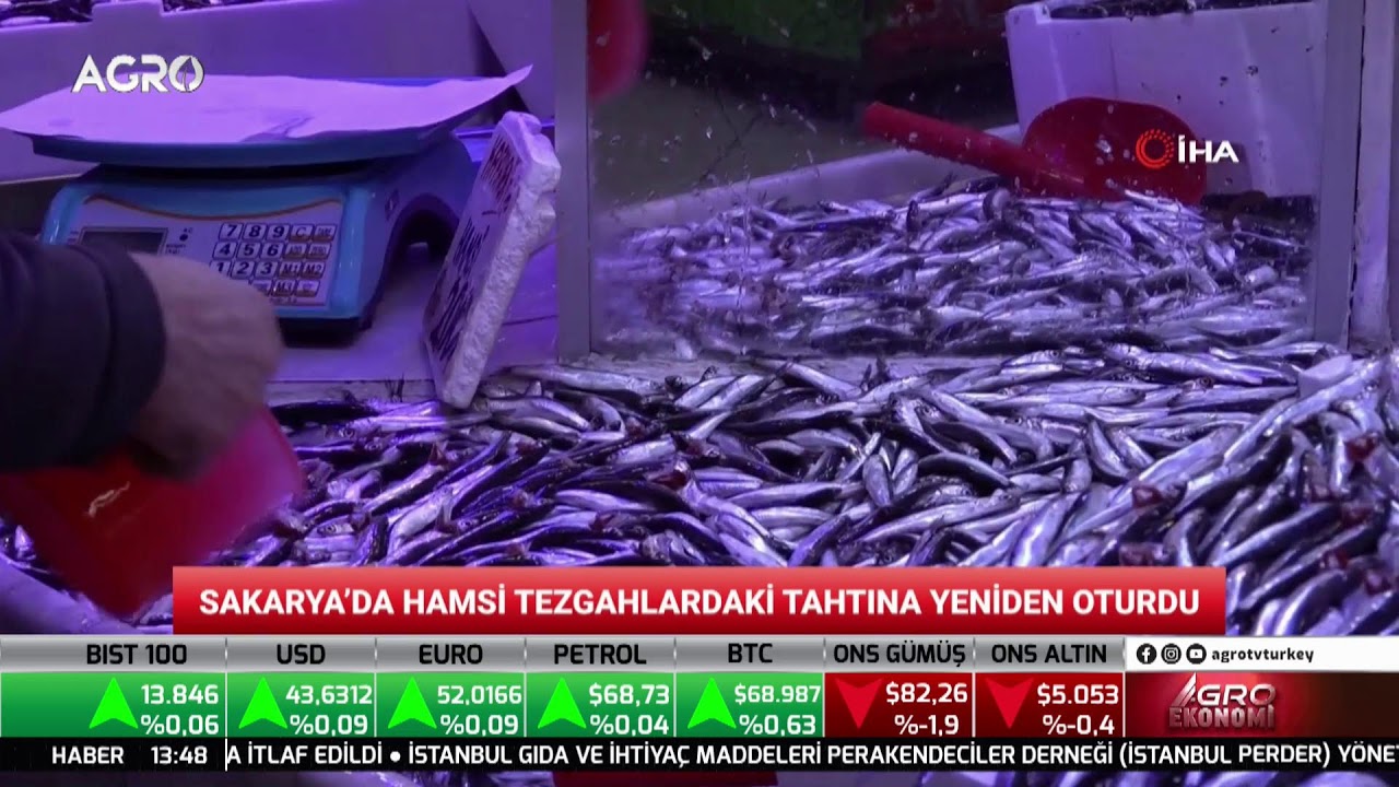 #CANLI AGRO EKONOMİ