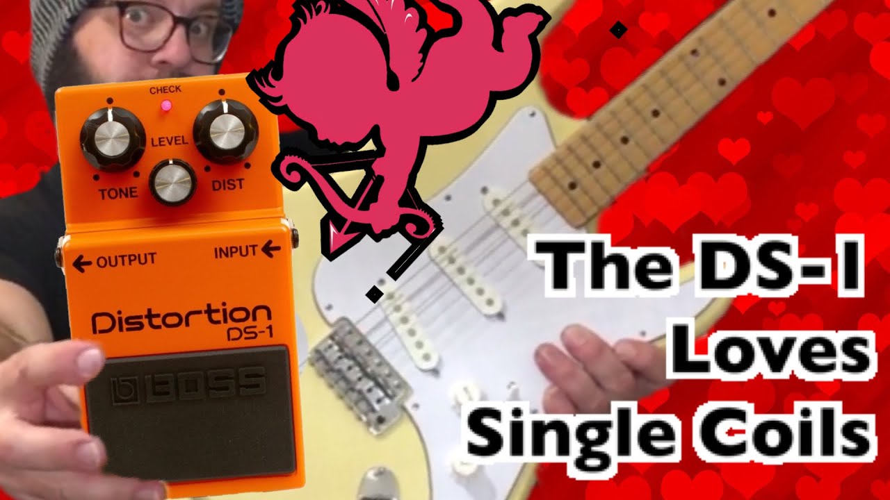 The DS-1 LOVES Single Coil Pickups