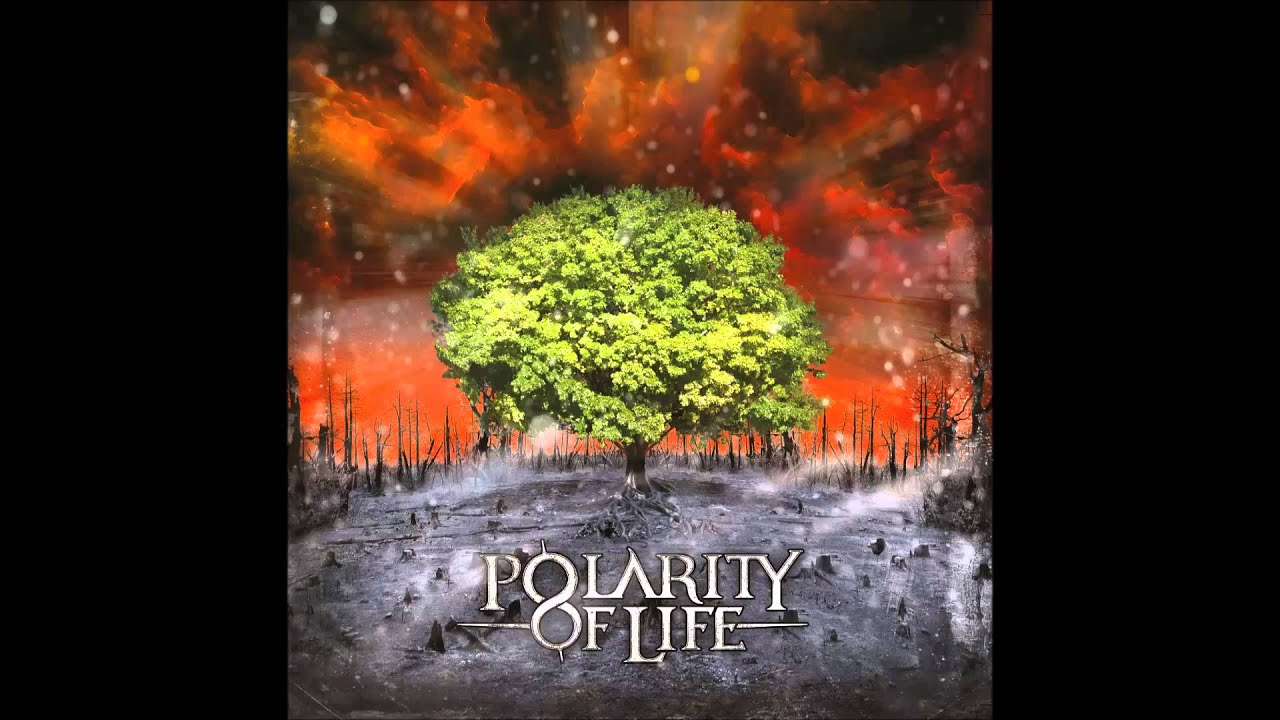 Polarity Of Life - Ten Times More
