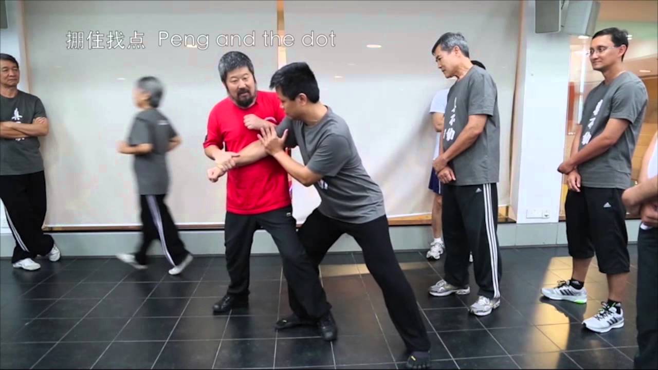 Master Chen Zhonghua 2014 Singapore Practical Method Workshop