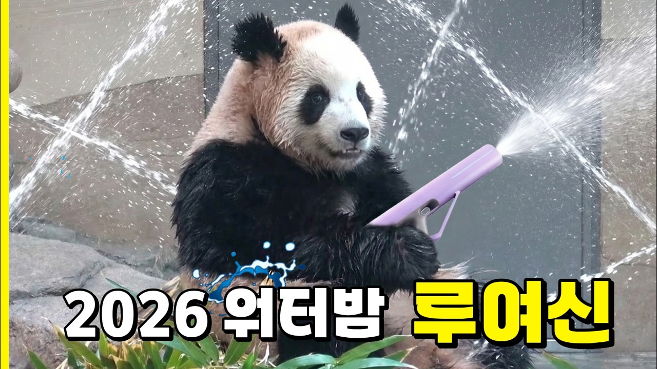 [RuiBao]흠뻑젖은 곰인형 260308