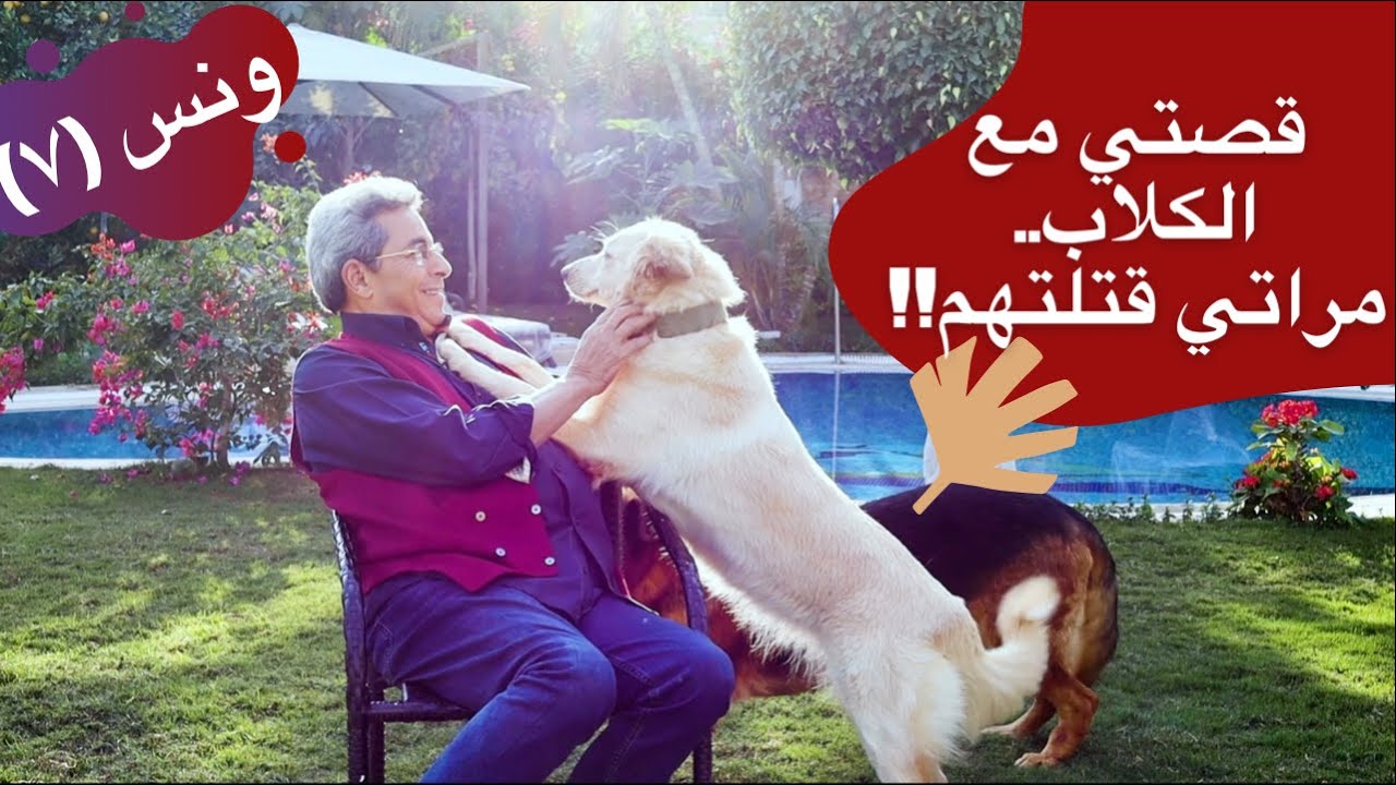 ونس| محمود سعد: دهب ومكس و مسكة.. قصتي مع الكلاب اللي مراتي قتلتهم!! (٧)