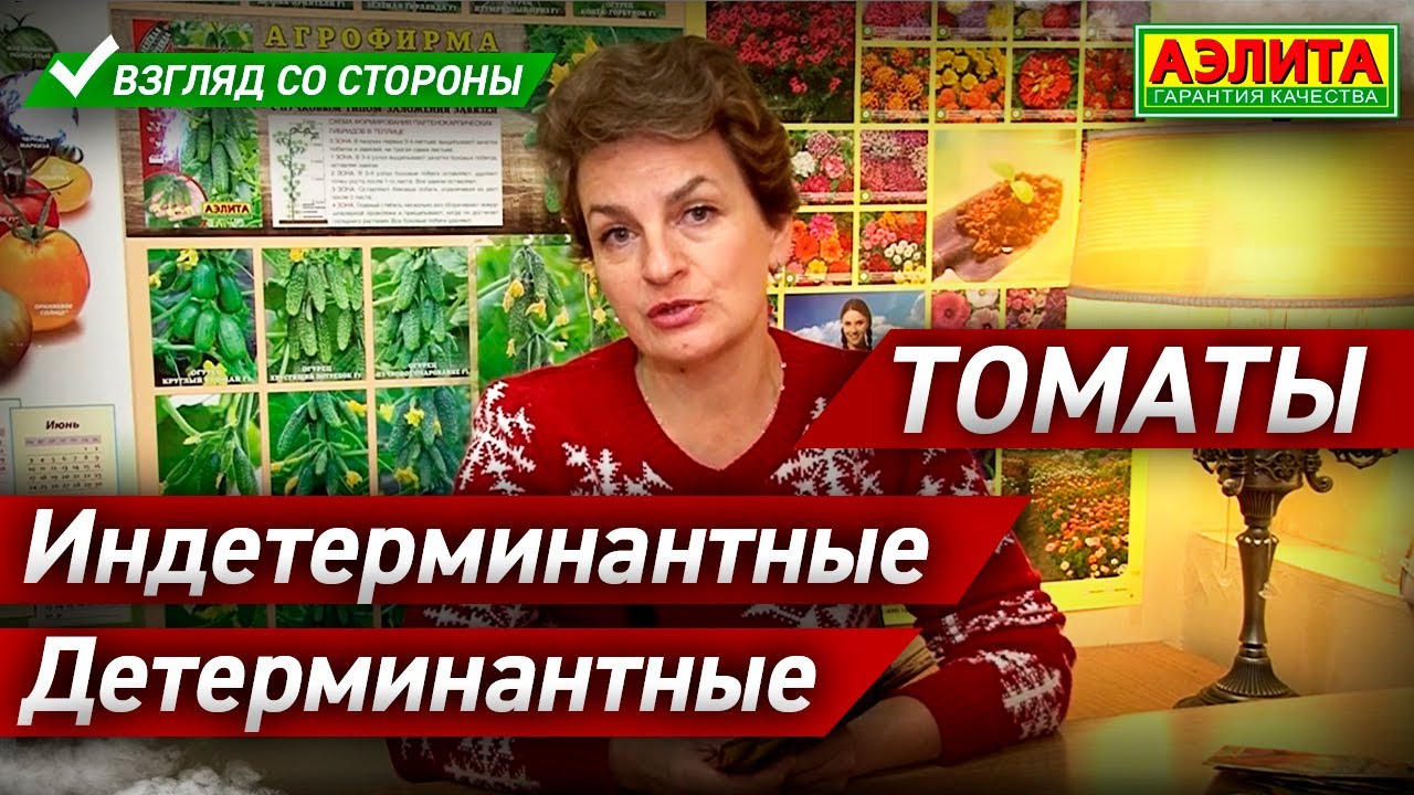 🍅Томаты Индетерминантные и Детерминантные