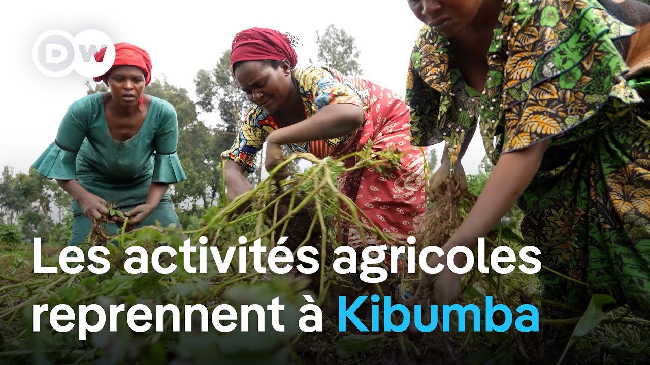 RDC : les activit&eacute;s agricoles reprennent &agrave; Kibumba