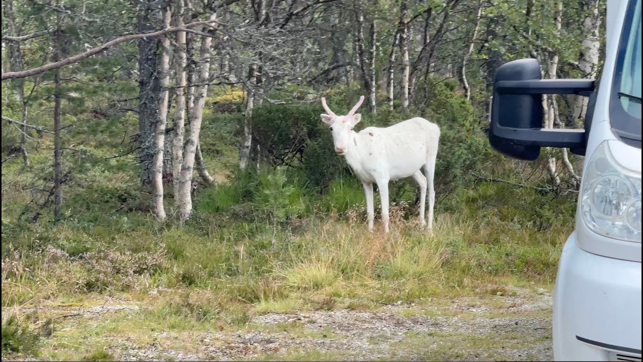 Härjedalen 2025 dag 2 Funäsdalen