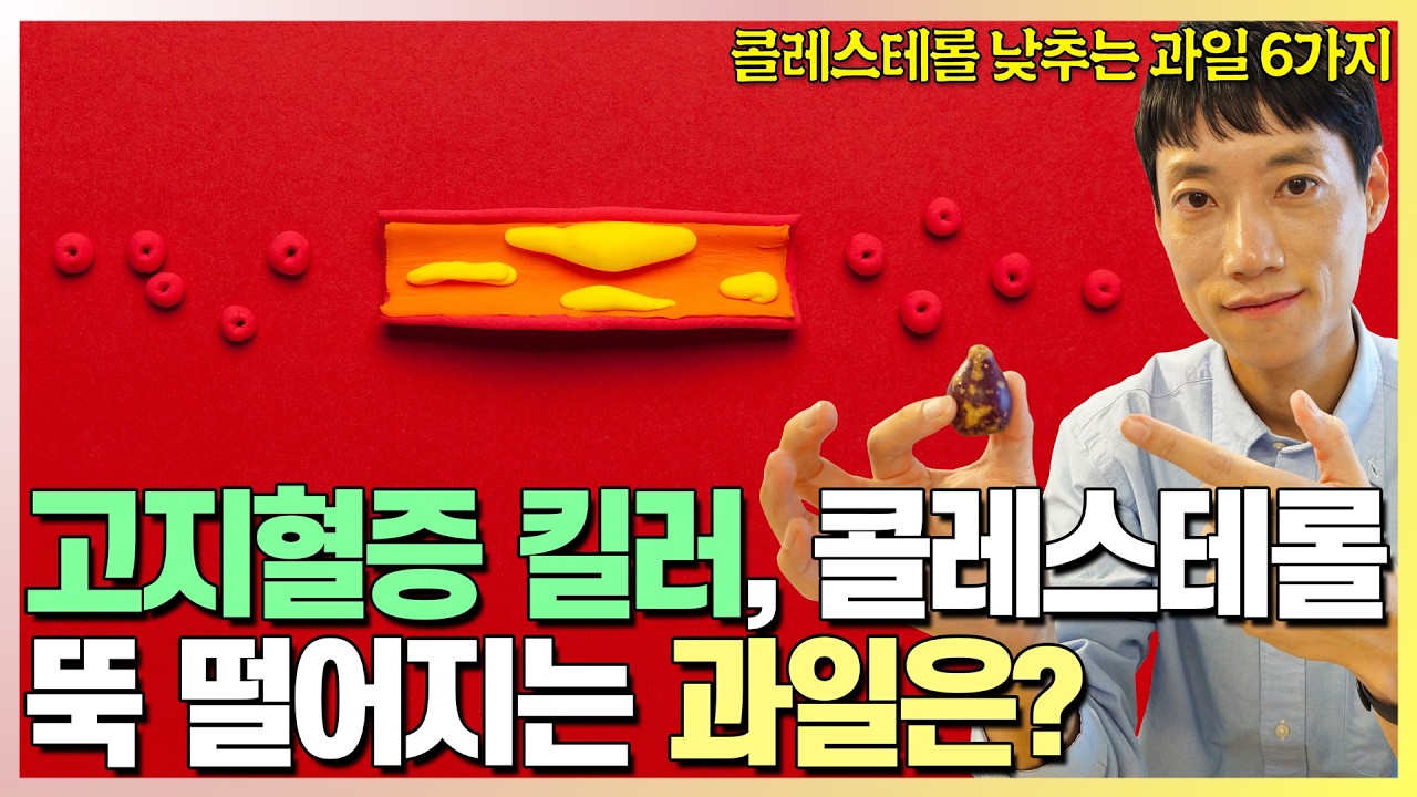 콜레스테롤 낮출 수 있는 과일 l 혈관 싹 청소하는 과일 6가지 l 닥터딩요