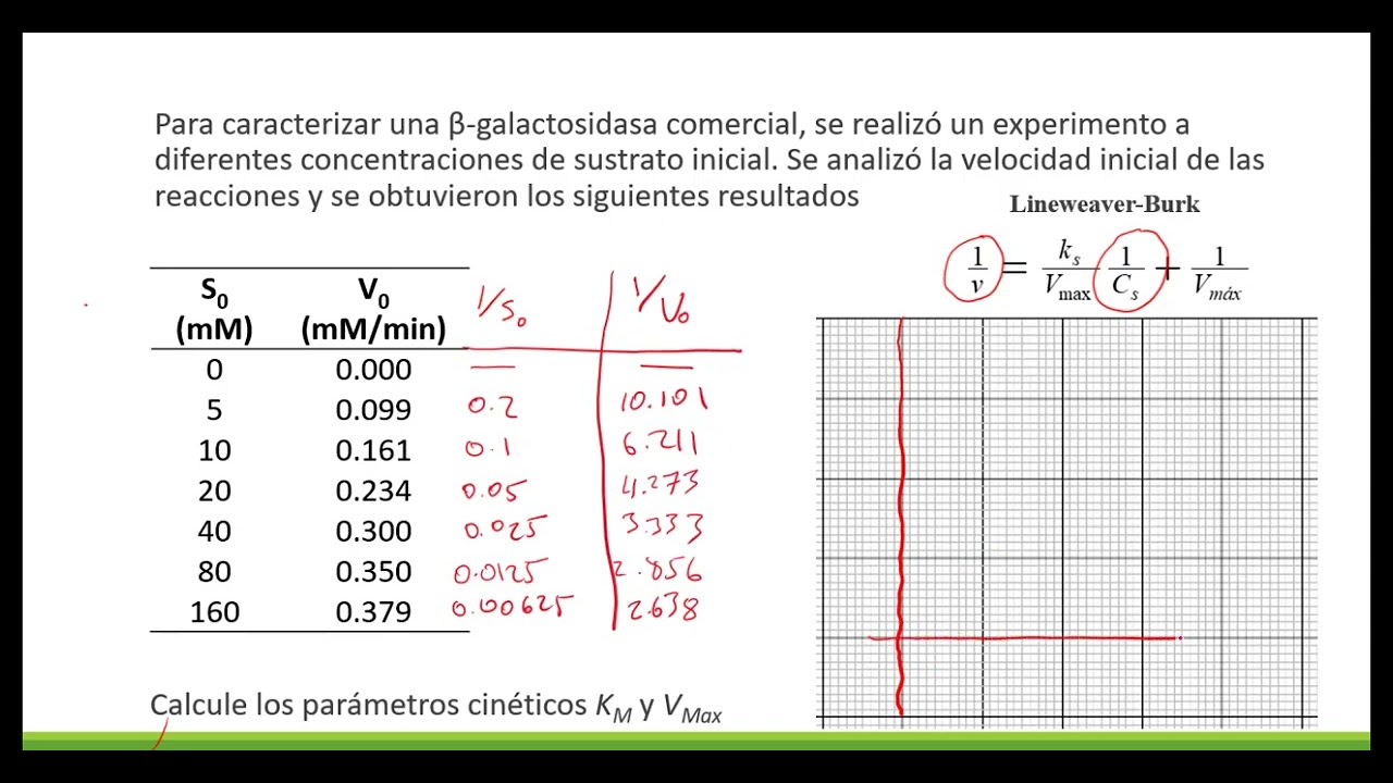 Cinética enzimática - Método de Lineweaver Burk