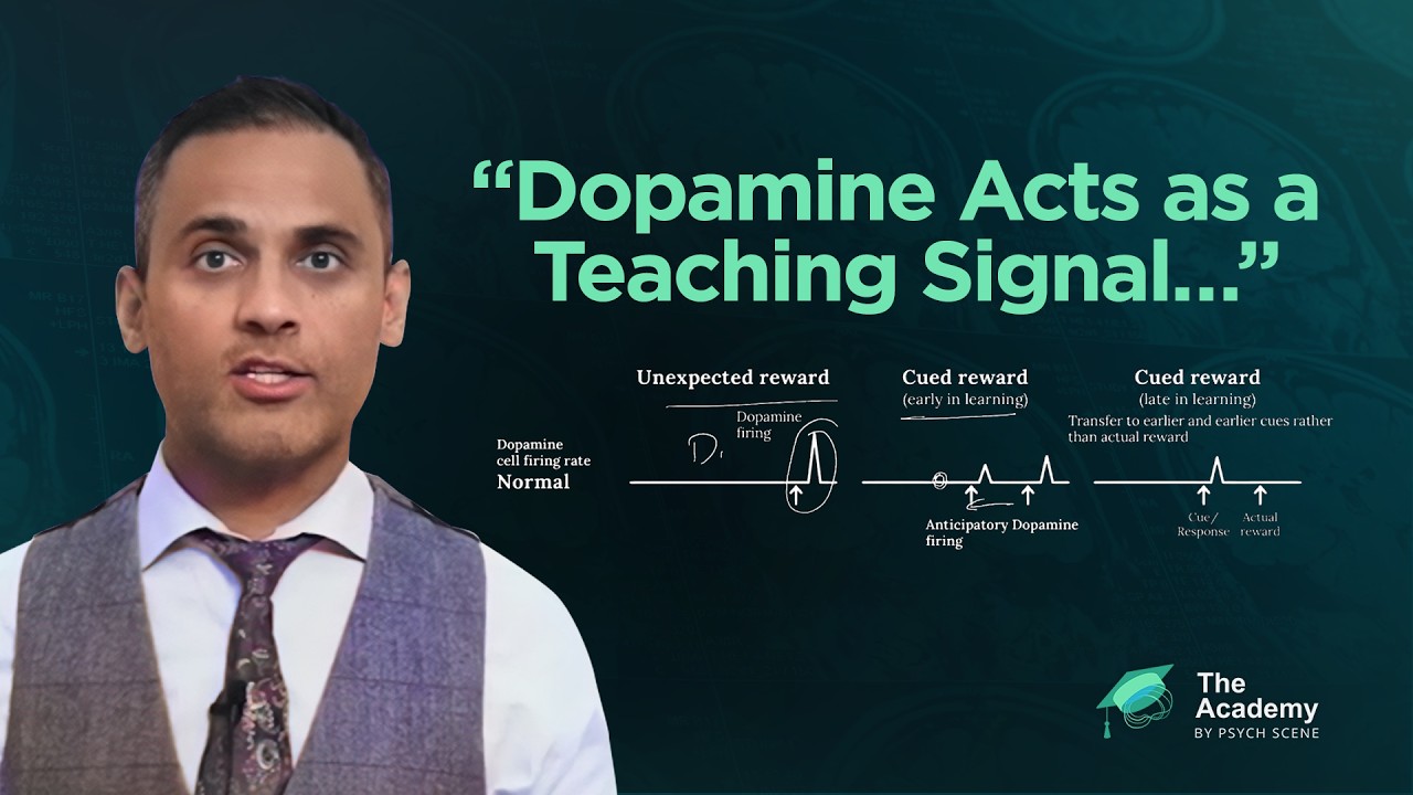 How Maladaptive Learning &lsquo;Drives&rsquo; Psychosis and Addiction