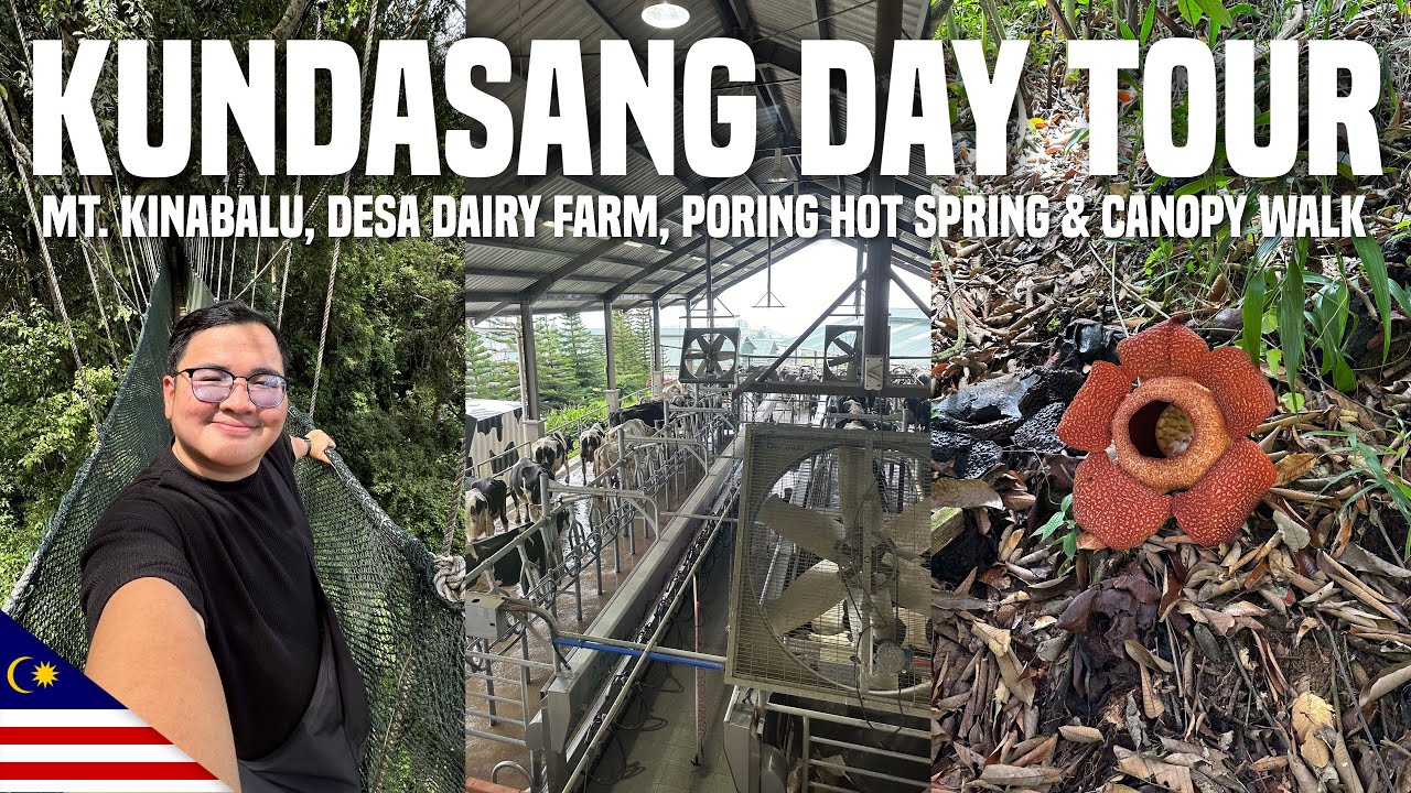 KOTA KINABALU VLOG • Mt. Kinabalu, Desa Dairy Farm, Poring Hot Spring & Canopy Walk | Ivan de Guzman