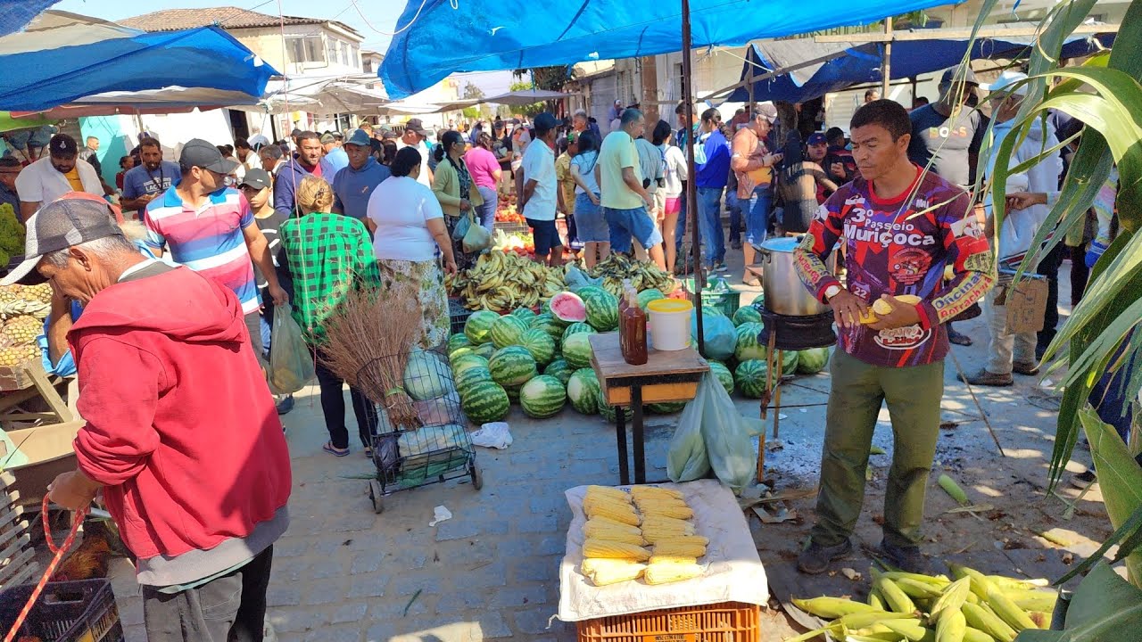 Brasil nós é rico no Posto Alto da Serra-PE 20-10-24 #agro #nordeste #produtos