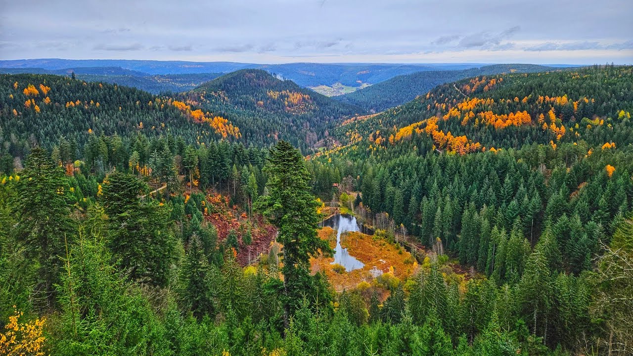 Aussichtsplattform Ellbachseeblick Schwarzwald Germany Viewpoint