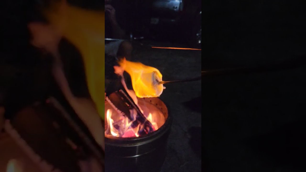 How To Properly Roast A Marshmallow! #shorts