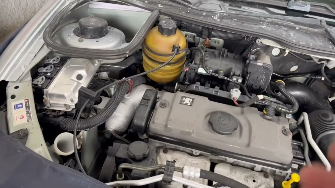 Peugeot 206 Não acelera...Problema de corpo de borboleta ou Central?