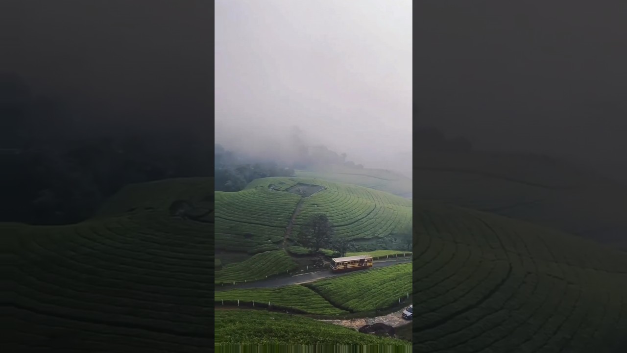 top 3 resorts in munnar with waterfall view |  munnar | Kerala