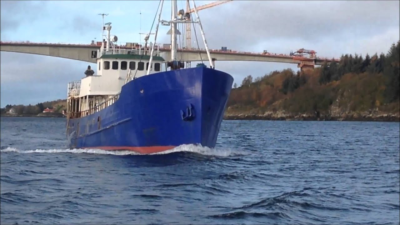 Kvernhusvik - Frengen med Epo Ex. Rødskjæl