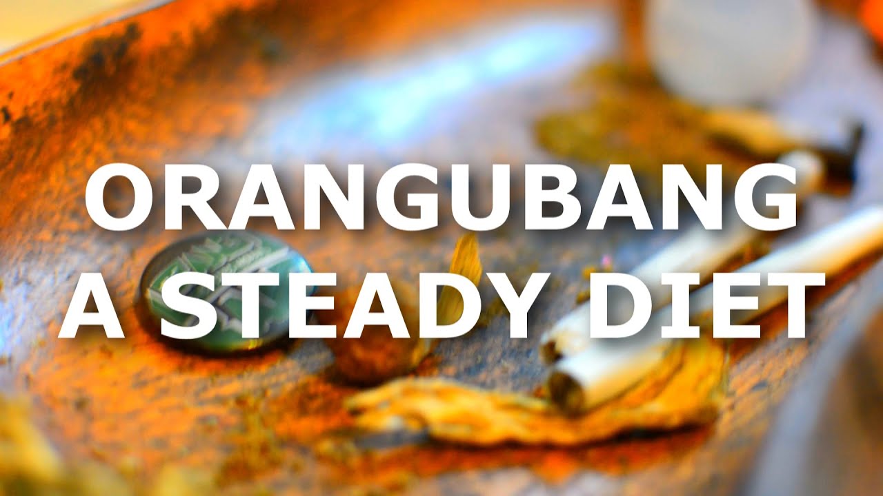 A Steady Diet - ORANGUBANG - The Hip Less Hopped (Official Music Video)