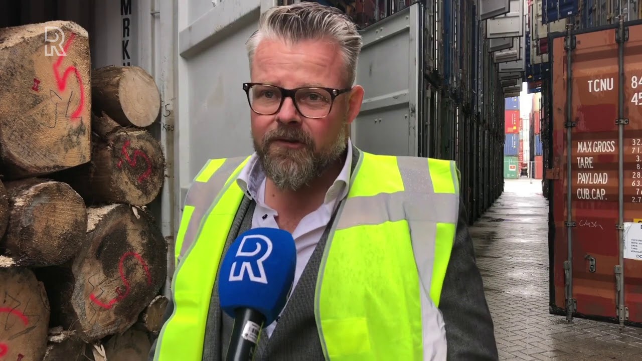 Vraatzuchtig beestje zorgt voor explosieve stijging boomstammenexport
