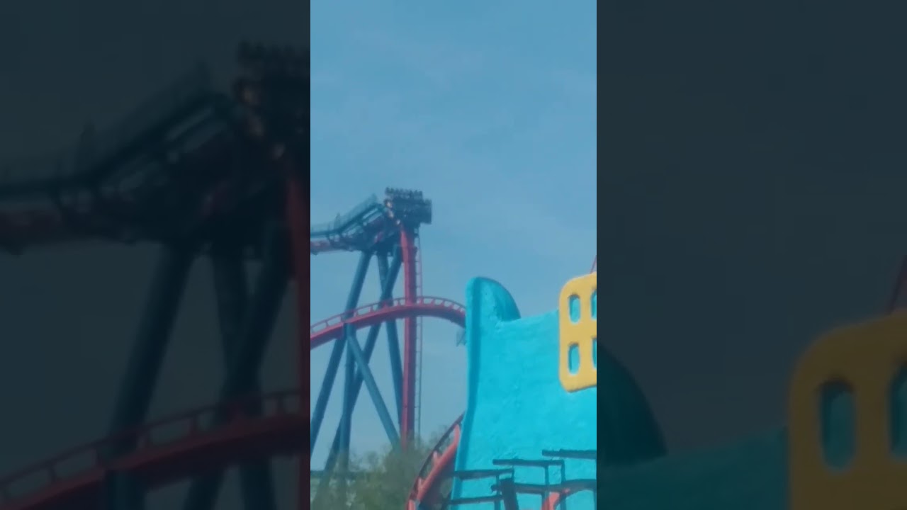 Shiekra at busch gardens