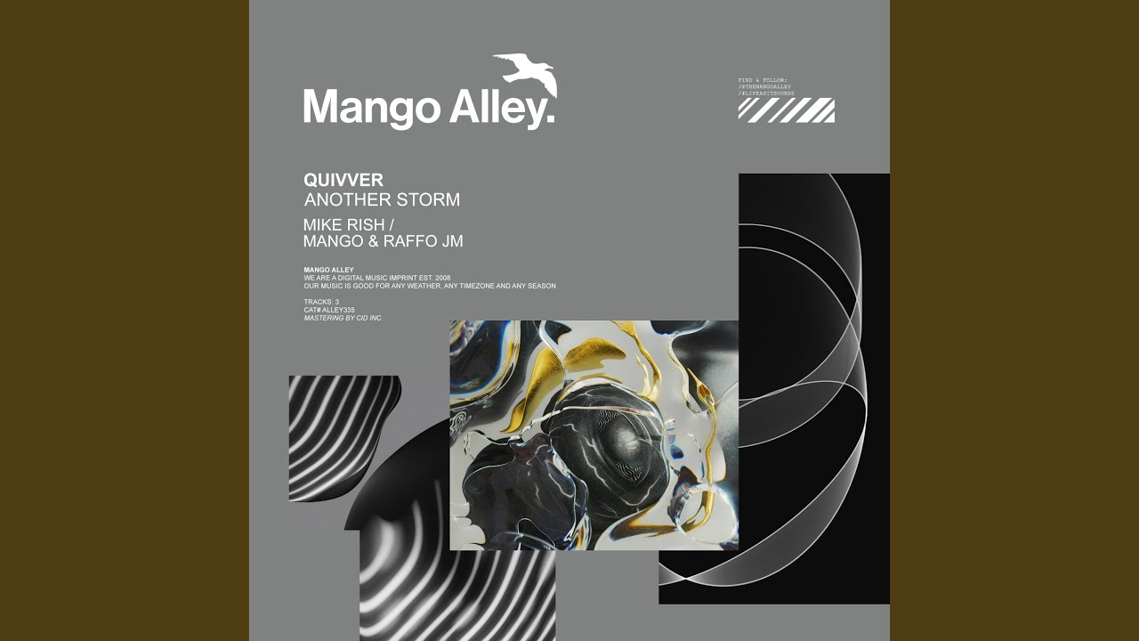 Another Storm (Mike Rish Remix)