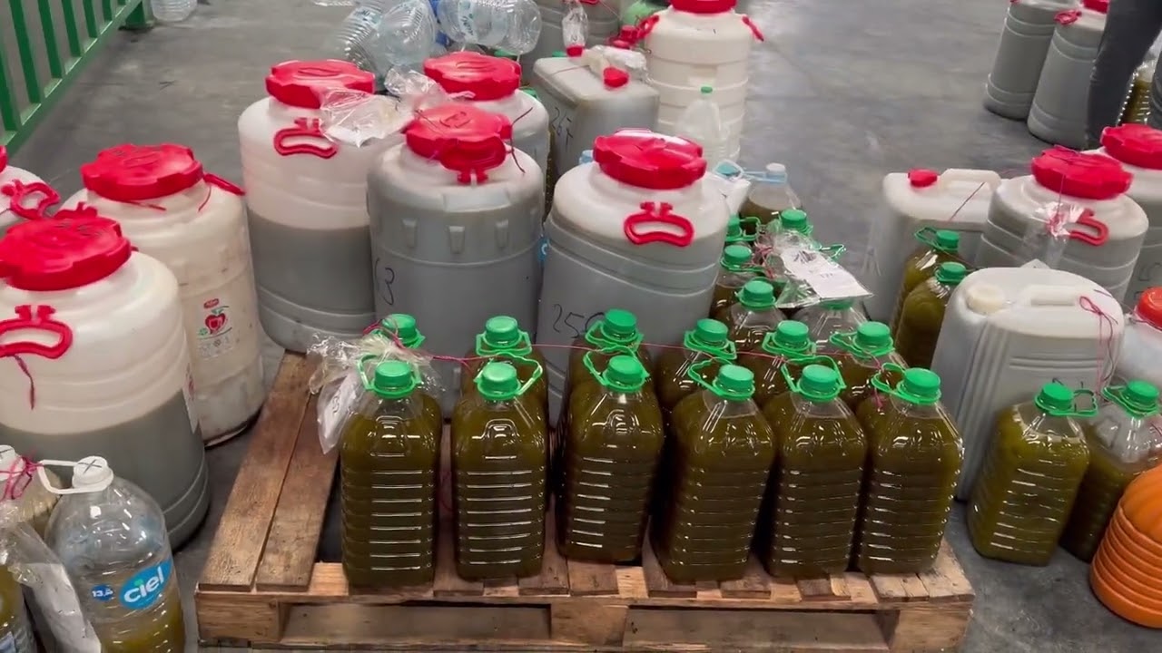 معصرة الزيتون في بني بوعياش الحسيمة